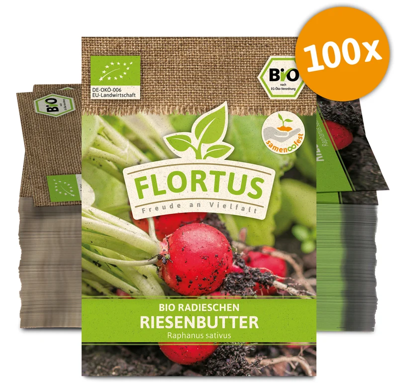 Radieschen Riesenbutter (100 Stück) | BIO Radieschensamen von FLORTUS