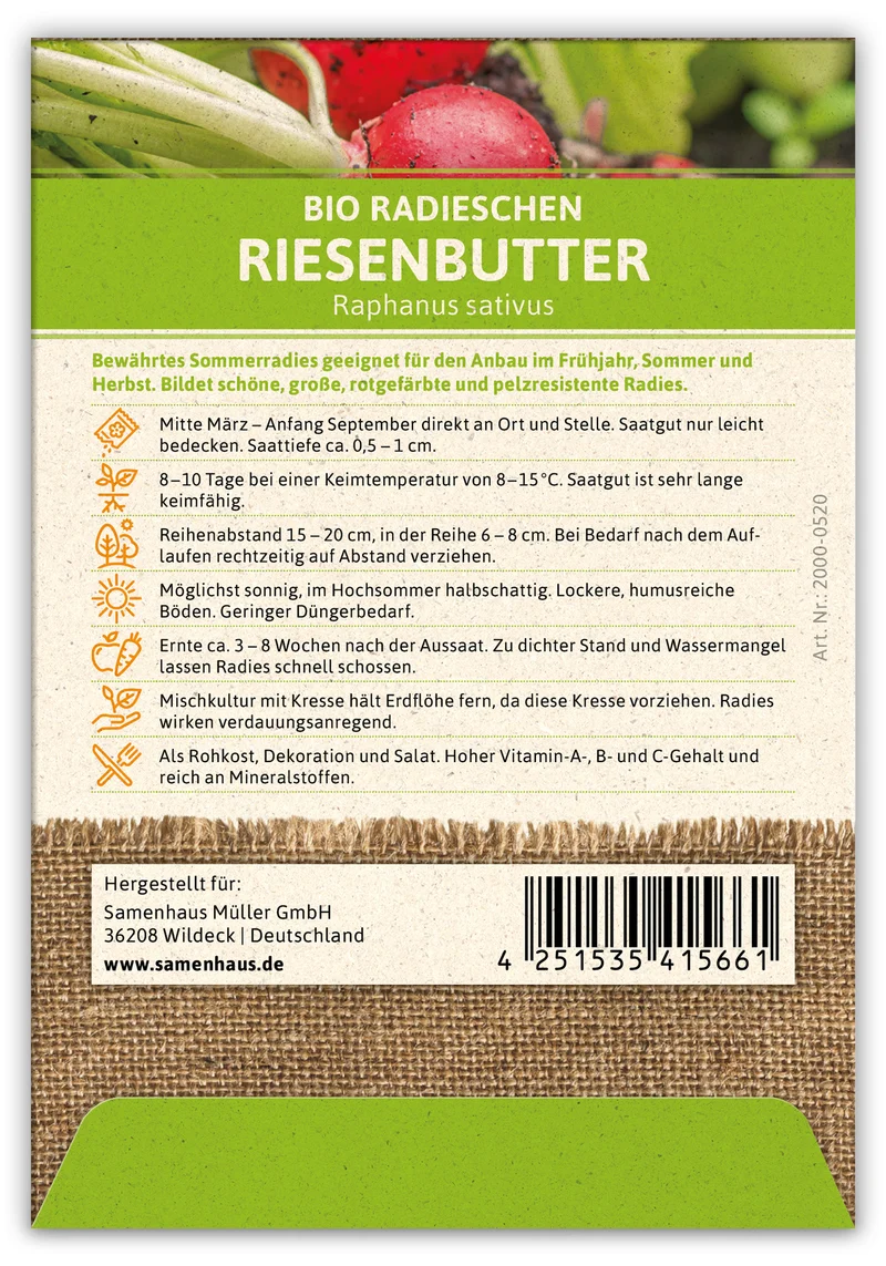 Radieschen Riesenbutter (100 Stück) | BIO Radieschensamen von FLORTUS