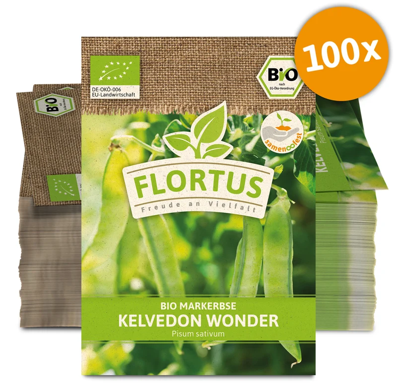 Markerbse Kelvedon Wonder (100 Stück) | BIO Erbsensamen von FLORTUS