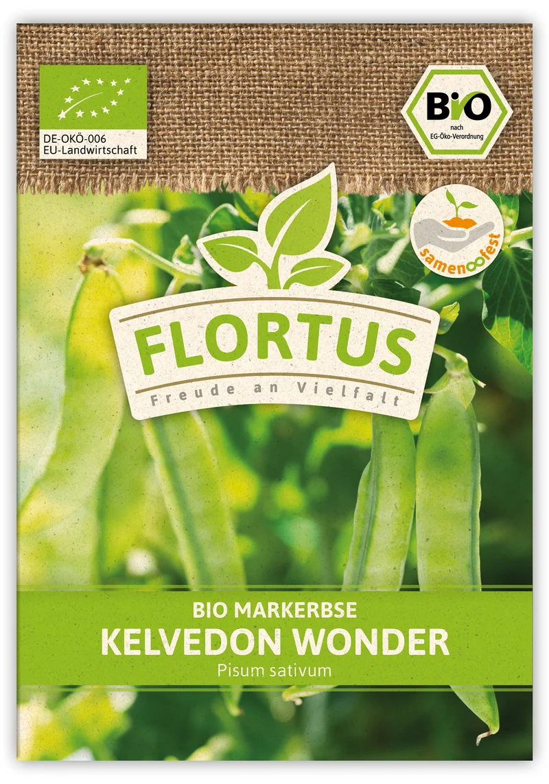Markerbse Kelvedon Wonder (100 Stück) | BIO Erbsensamen von FLORTUS