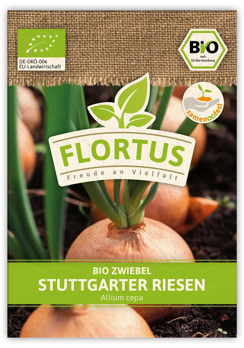 Zwiebel Stuttgarter Riesen (100 Stück) | BIO Zwiebelsamen von FLORTUS