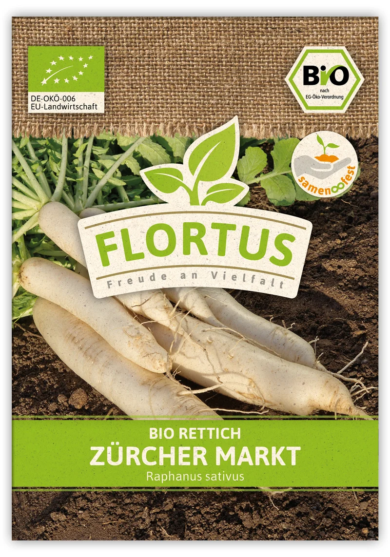 Rettich Zürcher Markt (100 Stück) | BIO Rettichsamen von FLORTUS