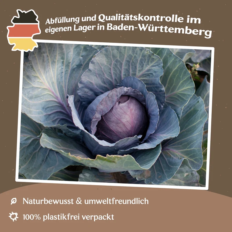 Rotkohl Tête noire 3 Samen