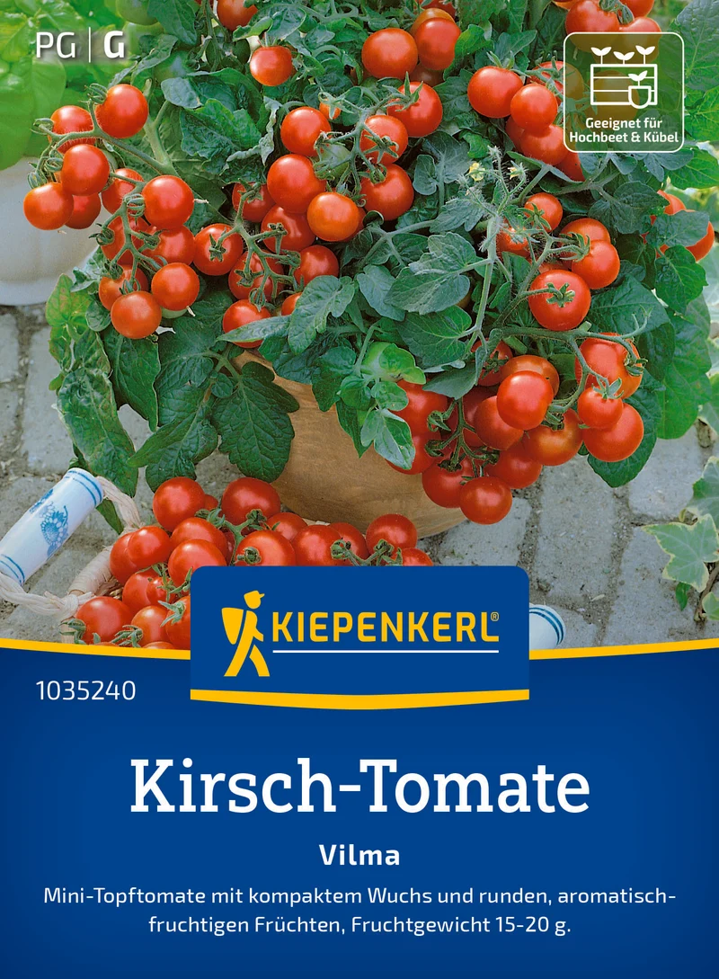 Kirsch Tomate Vilma Saatgut