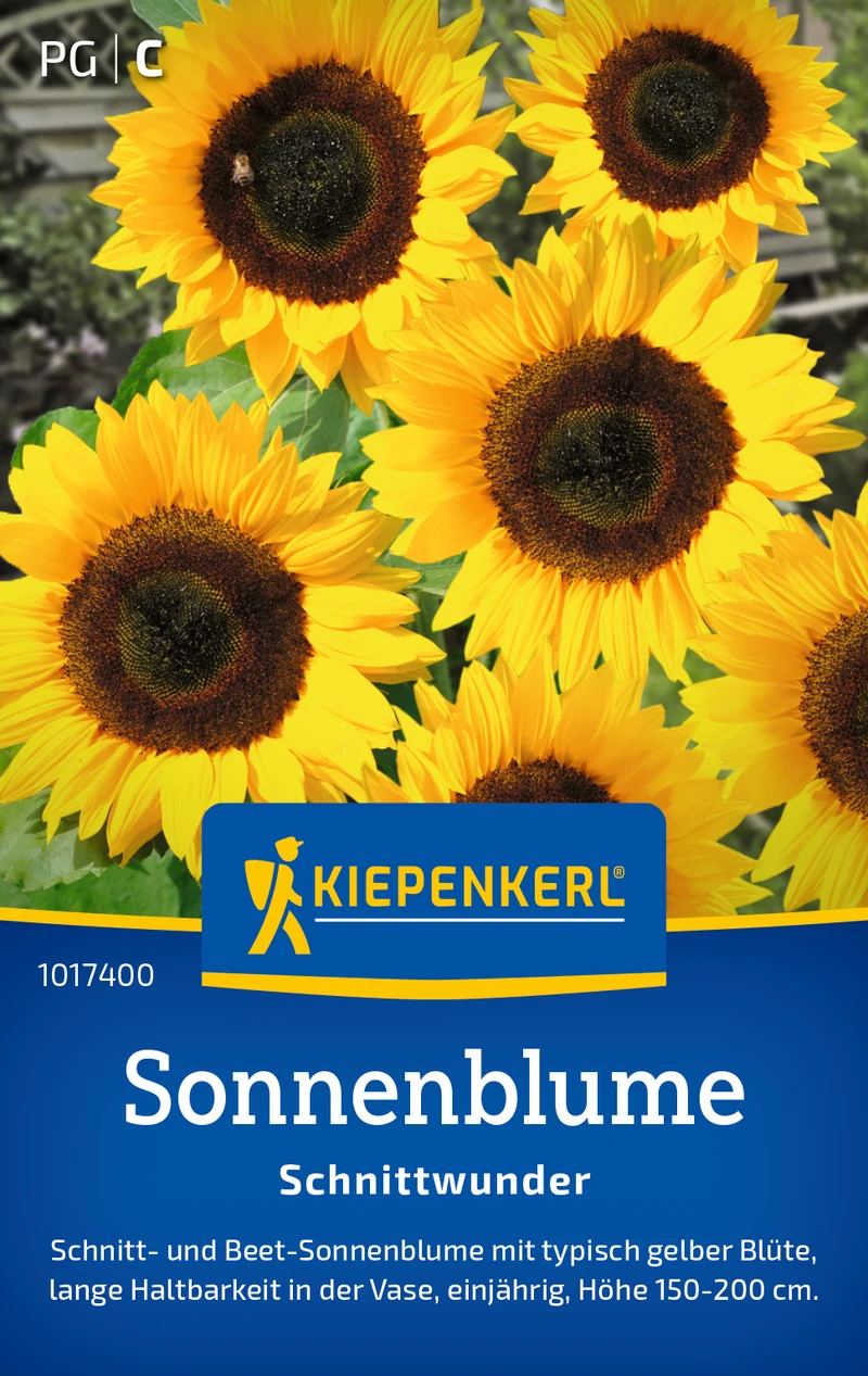 Sonnenblume Schnittwunder Saatgut