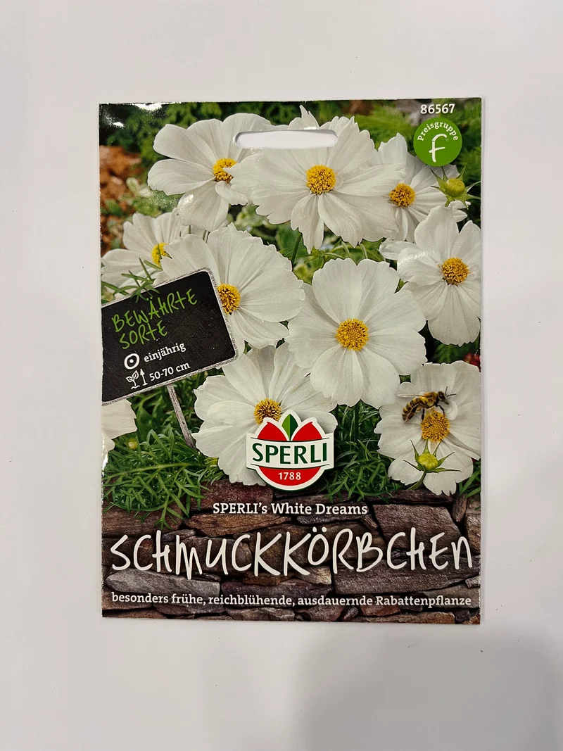 Cosmea Schmuckkörbchen Sperli‘s White Dreams
