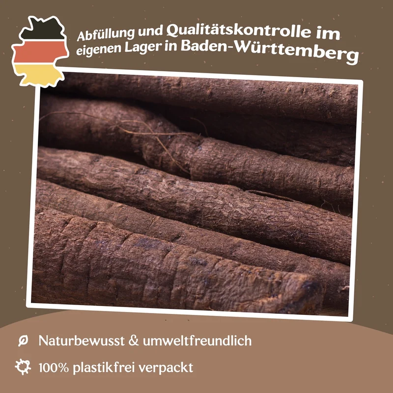 Schwarzwurzel Hoffmanns Schwarze Pfahl Samen