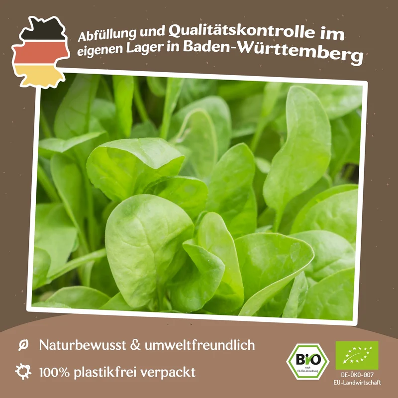 Bio-Spinat Winterriesen Samen
