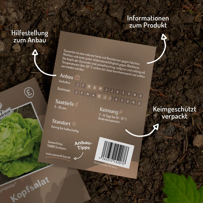 Kopfsalat Dynamite Samen