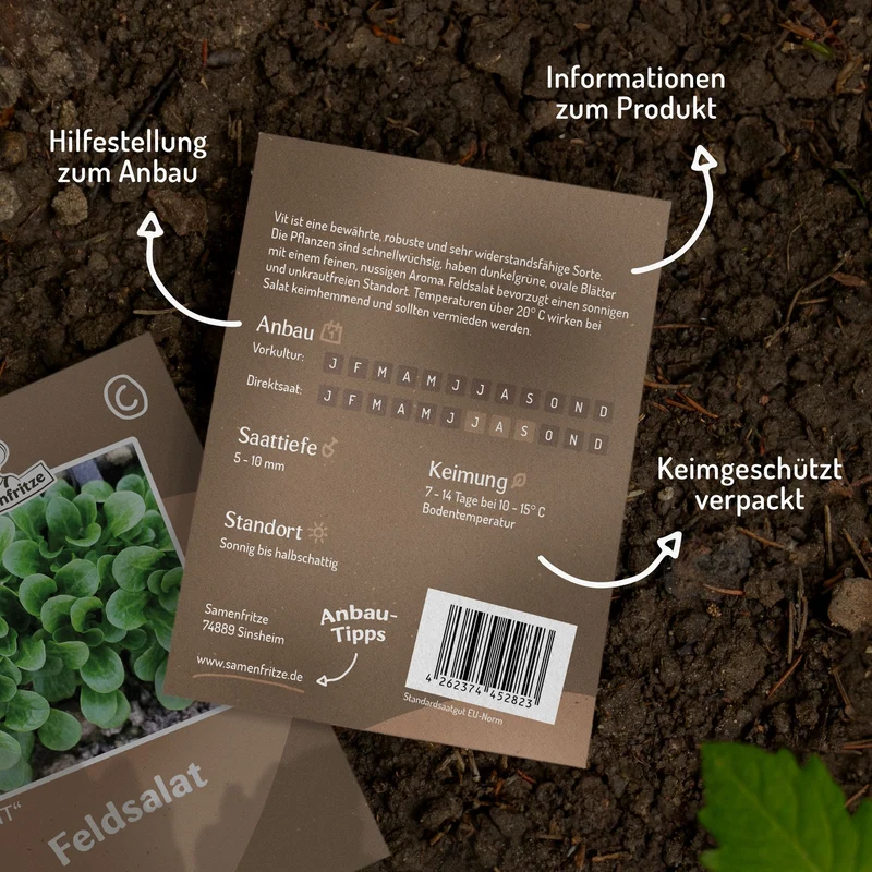 Feldsalat Vit Samen