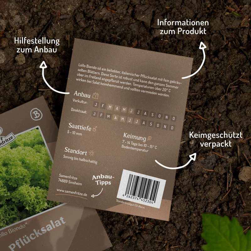 Pflücksalat Lollo Biondo Samen
