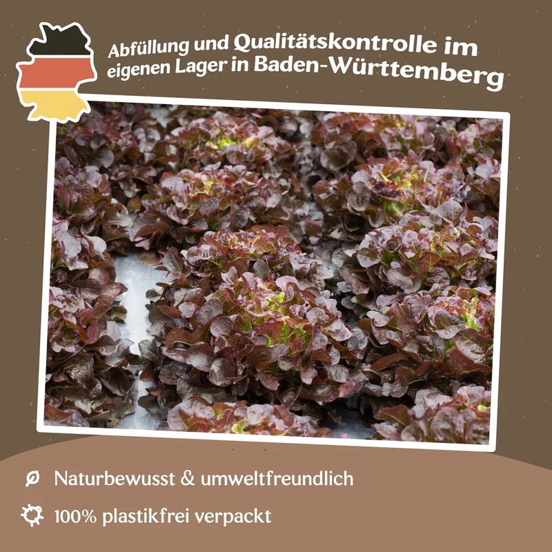 Pflücksalat Red Salad Bowl Samen