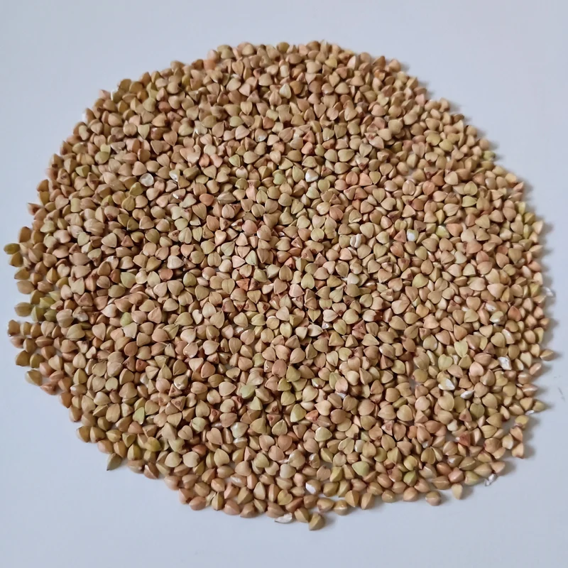 Organic Microgreen Seed: Buckwheat