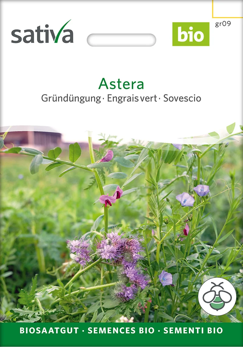 BIO Saatgut Gründüngung Astera