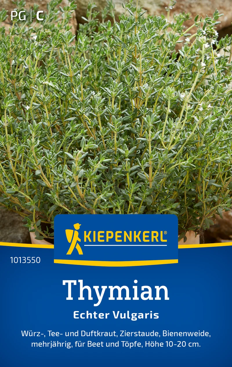Thymian Echter Vulgaris Saatgut