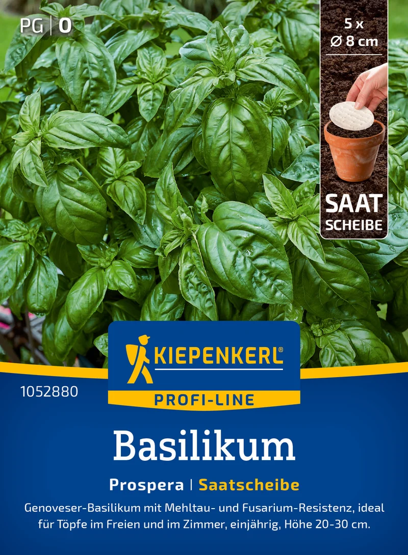Basilikum Prospera F1 Saatscheibe