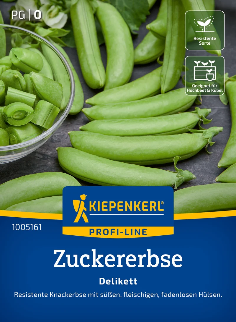 Zuckererbse Delikett Saatgut