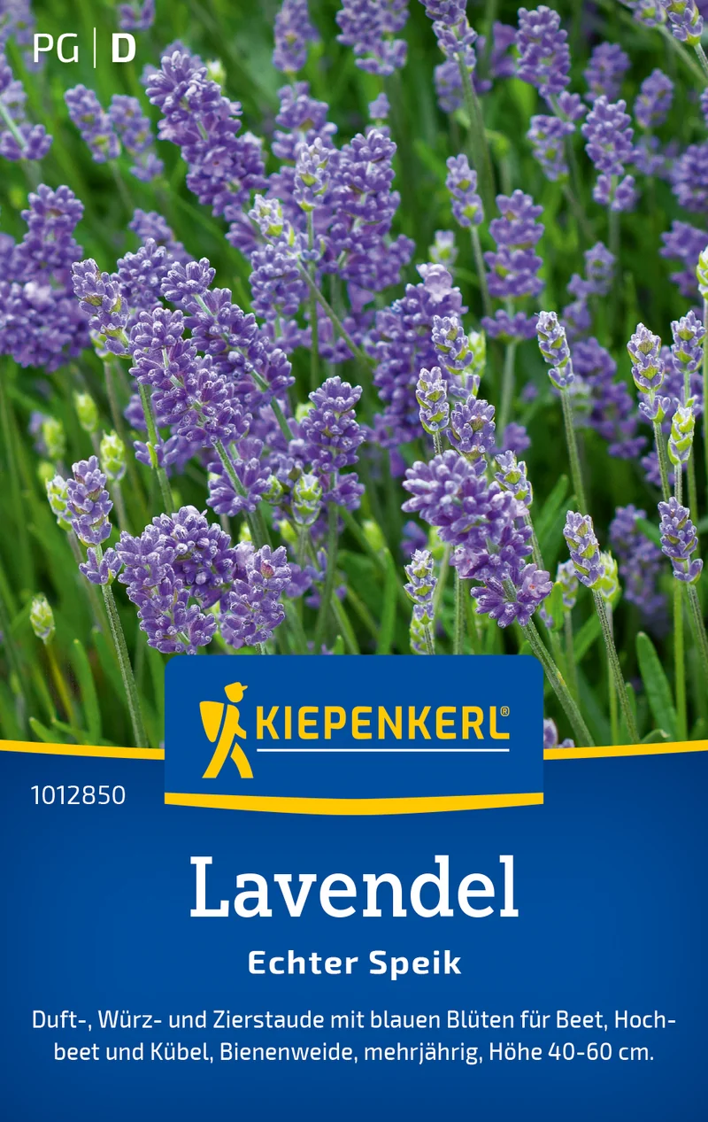 Lavendel Echter Speik Saatgut