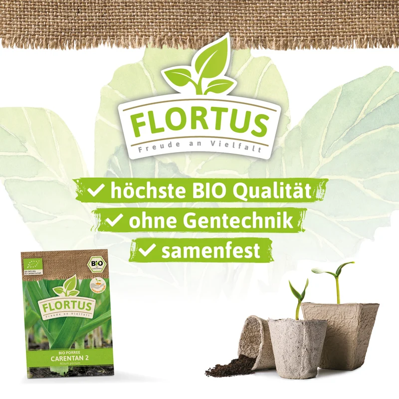 Lauch-Porree Carentan 2 | BIO Lauchsamen von FLORTUS