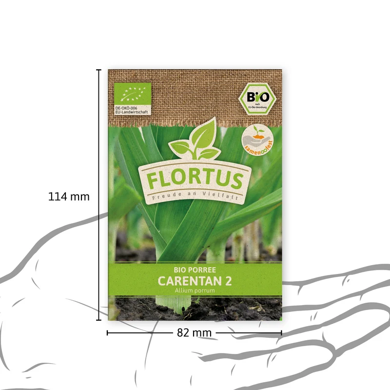 Lauch-Porree Carentan 2 | BIO Lauchsamen von FLORTUS