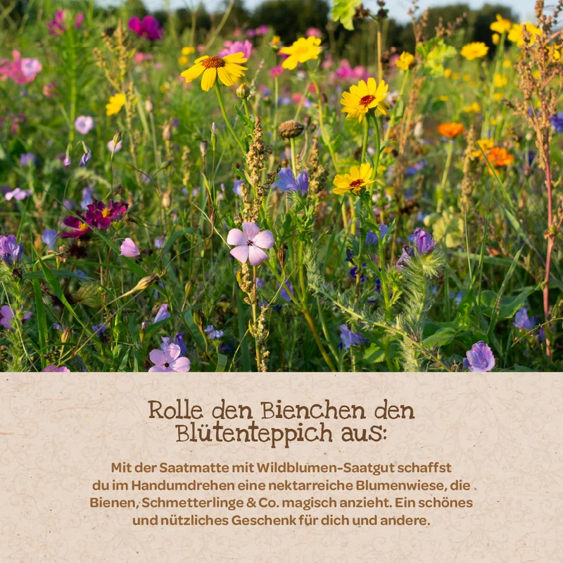 Bienenwohl - Blütenteppich
