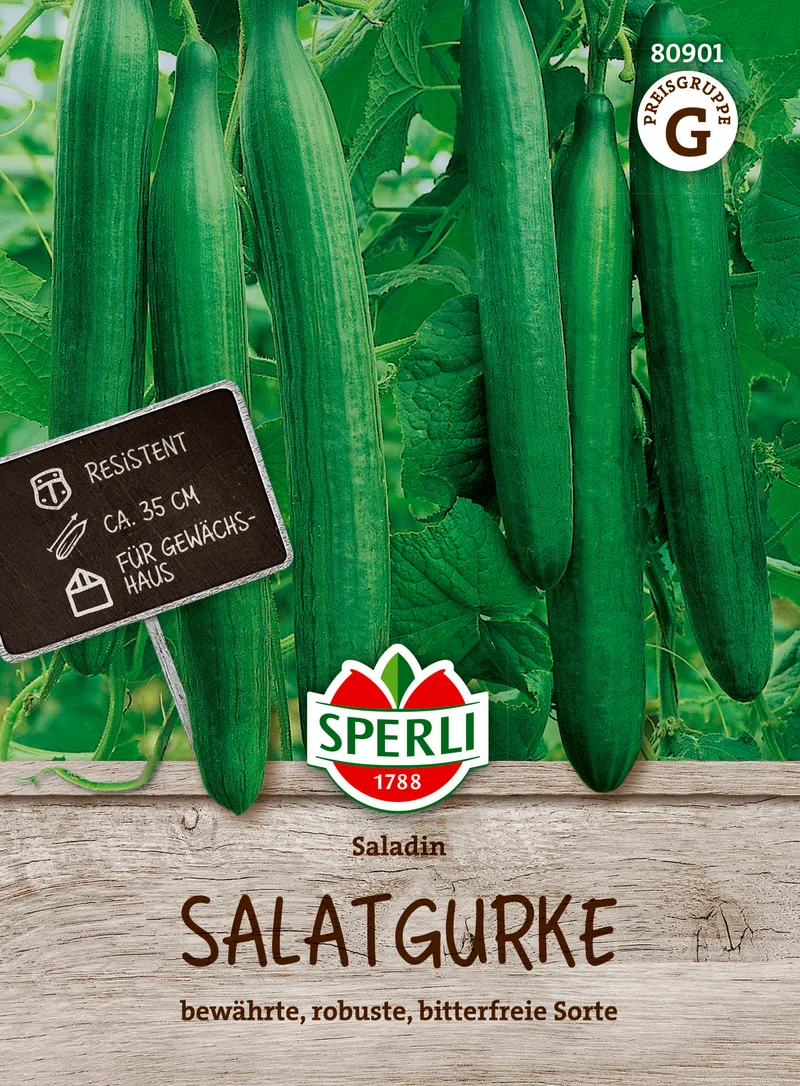 Salatgurke Saladin F1 Saatgut