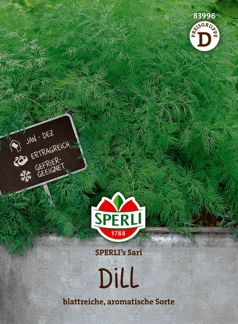 Dill Sari Saatgut