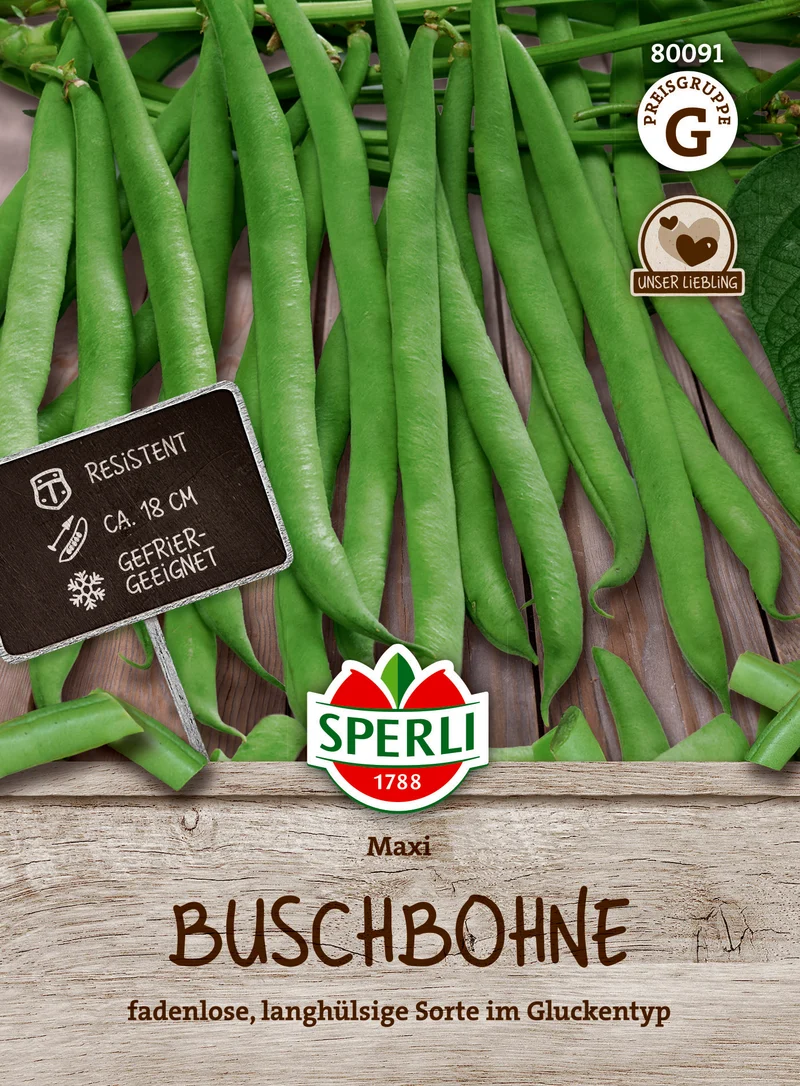 Buschbohne Maxi Saatgut