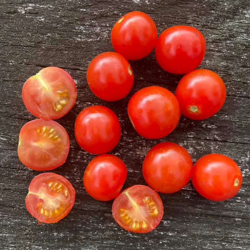 Cherrytomate "Lady Aireen Sweetie Pie"