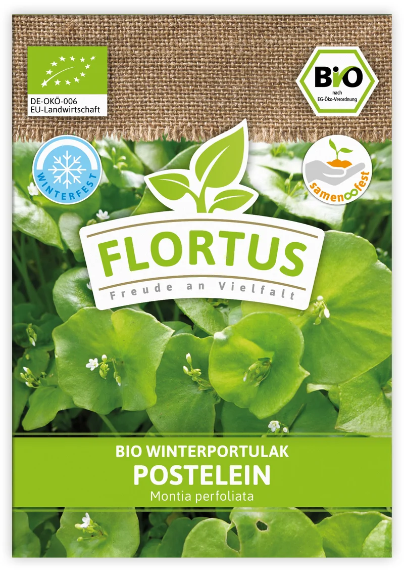 Winterportulak Postelein | BIO Portulaksamen von FLORTUS
