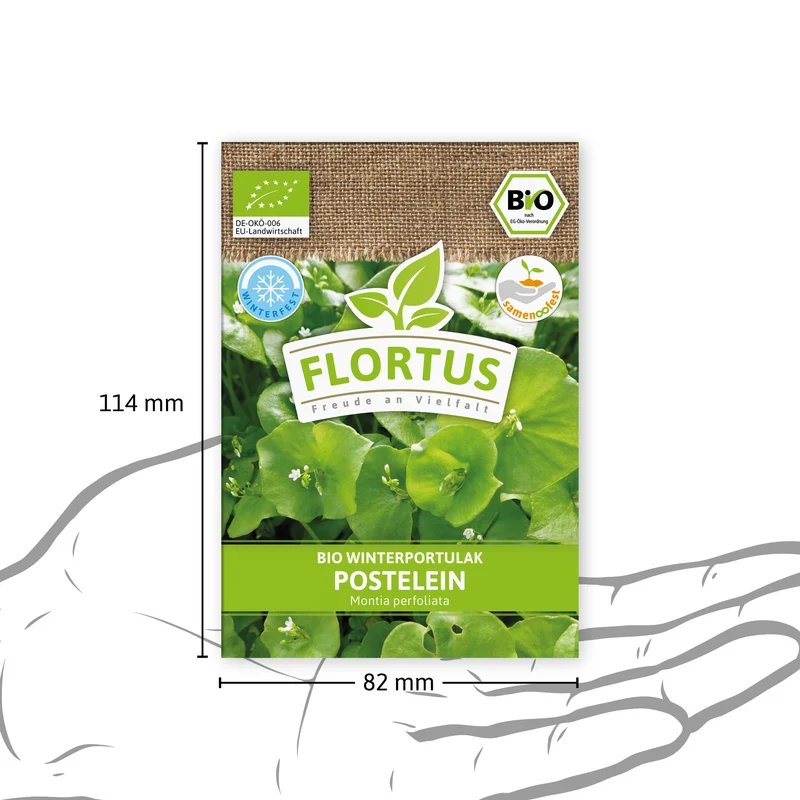 Winterportulak Postelein | BIO Portulaksamen von FLORTUS