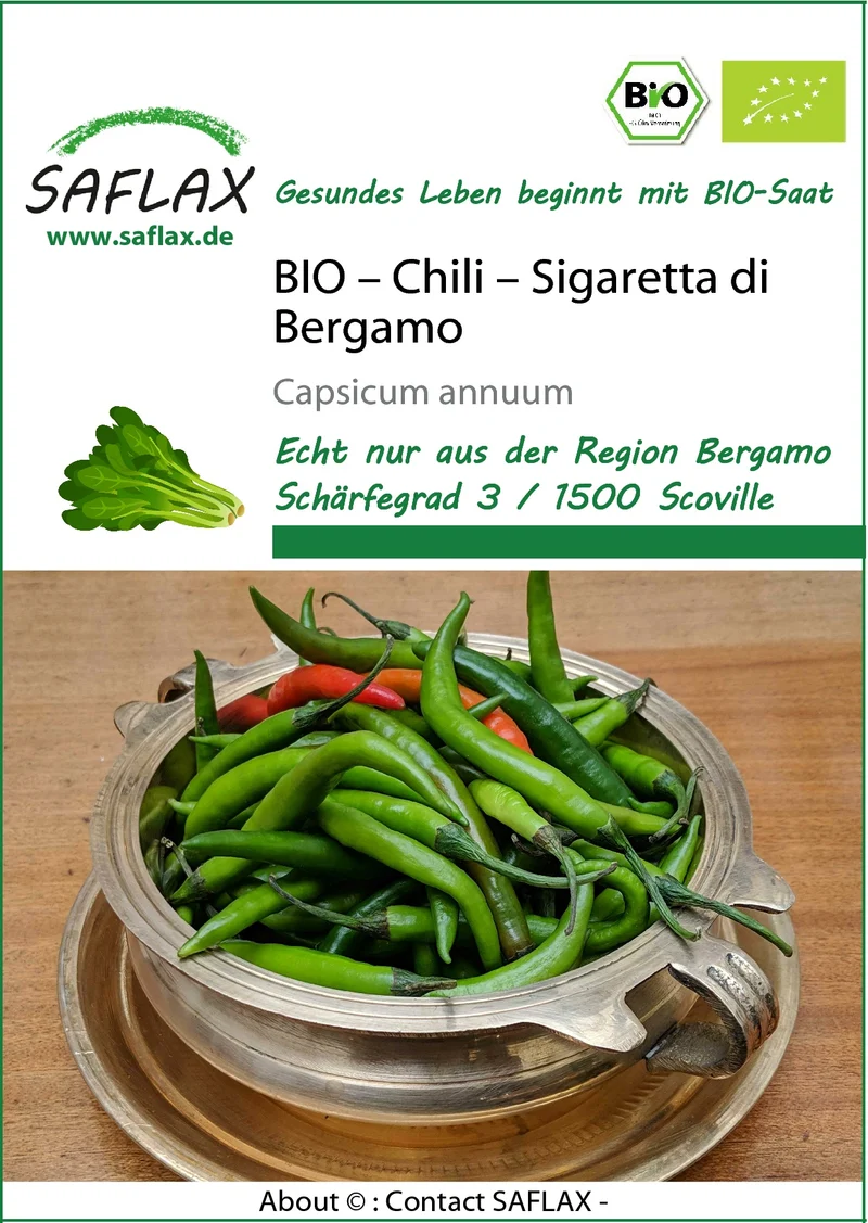 Chili Sigaretta di Bergamo | BIO Chilisamen von Saflax