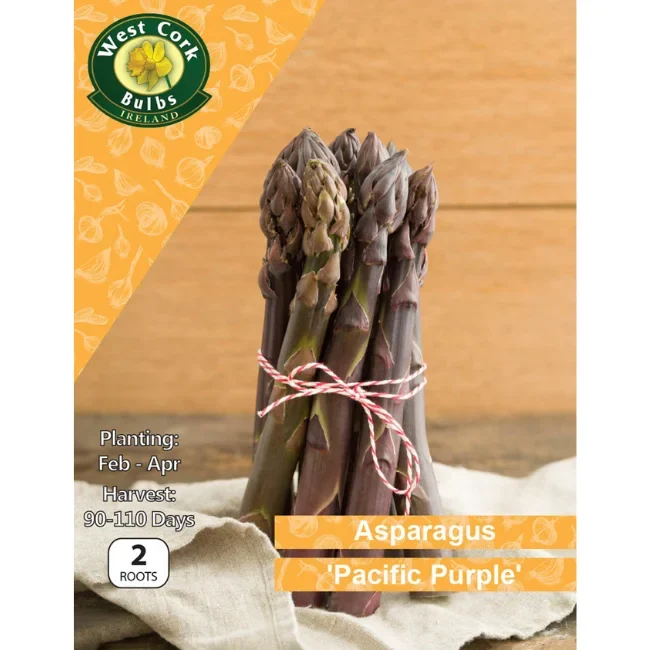 Asparagus Roots: Pacific Purple