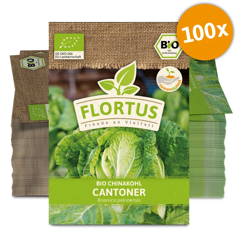 Chinakohl Cantoner (100 Stück) | BIO Chinakohlsamen von FLORTUS