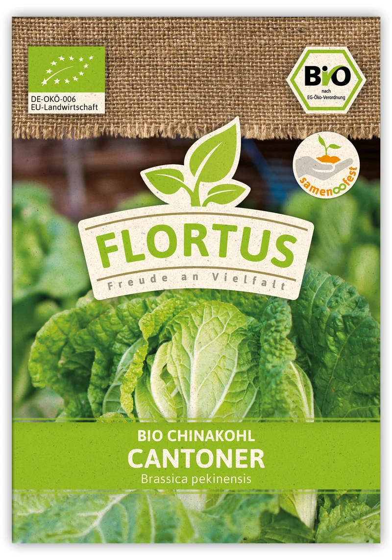 Chinakohl Cantoner (100 Stück) | BIO Chinakohlsamen von FLORTUS