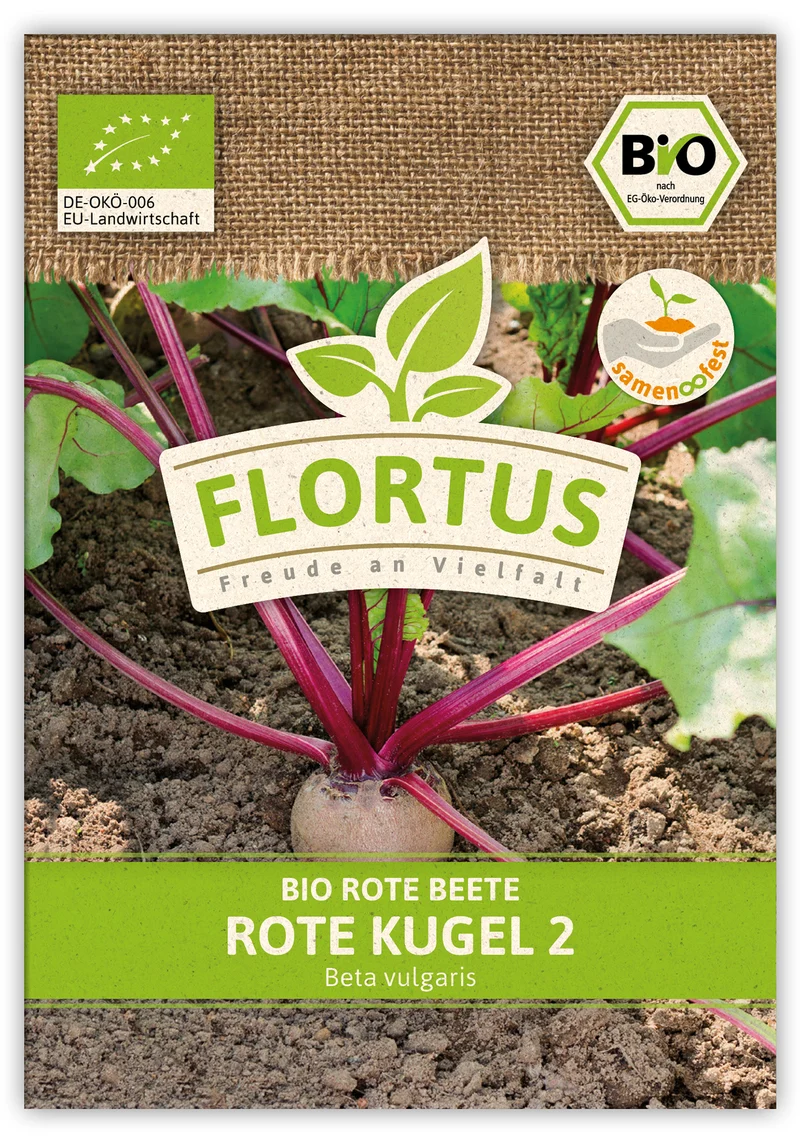 Rote Beete Rote Kugel 2 (100 Stück) | BIO Rote Beetesamen von FLORTUS
