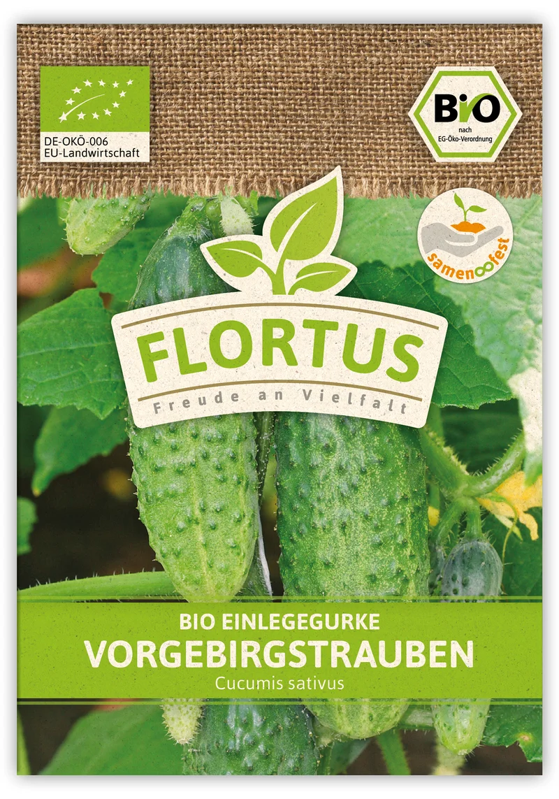 Einlegegurke Vorgebirgstrauben (100 Stück) | BIO Gurkensamen von FLORTUS