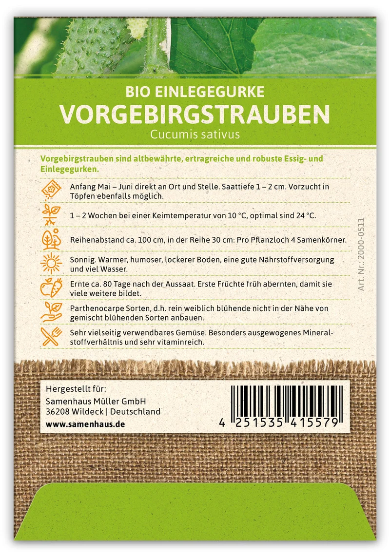 Einlegegurke Vorgebirgstrauben (100 Stück) | BIO Gurkensamen von FLORTUS