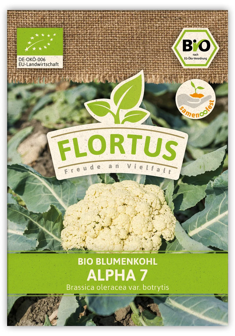 Blumenkohl Alpha 7 (100 Stück) | BIO Kohlsamen von FLORTUS