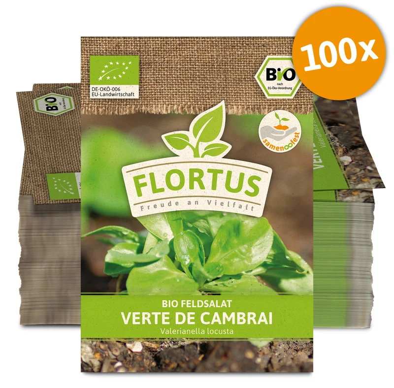 Feldsalat Verte de Cambrai (100 Stück) | BIO Salatsamen von FLORTUS