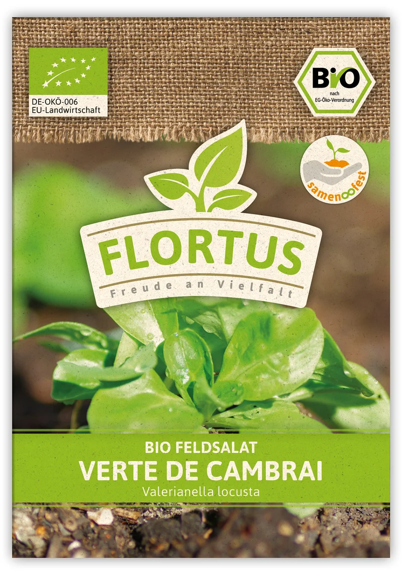 Feldsalat Verte de Cambrai (100 Stück) | BIO Salatsamen von FLORTUS