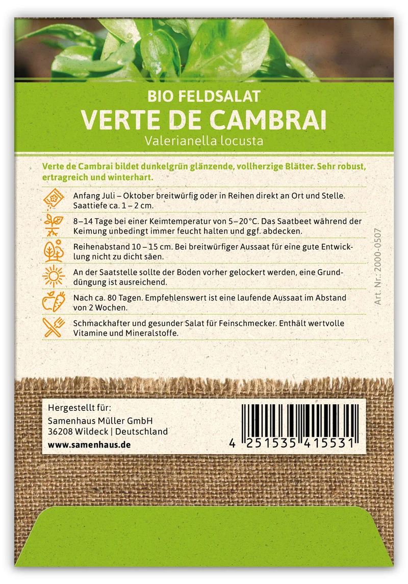 Feldsalat Verte de Cambrai (100 Stück) | BIO Salatsamen von FLORTUS
