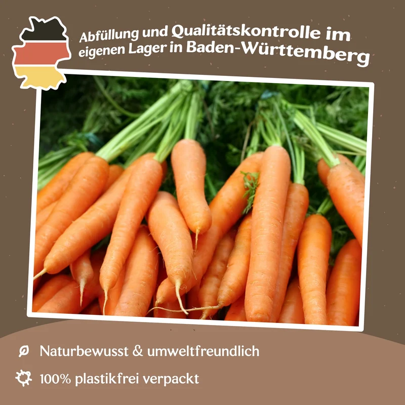 Karotte Autumn King 2 Samen