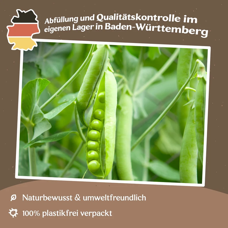 Schalerbse Frühe Harzerin Samen MHD 06/27