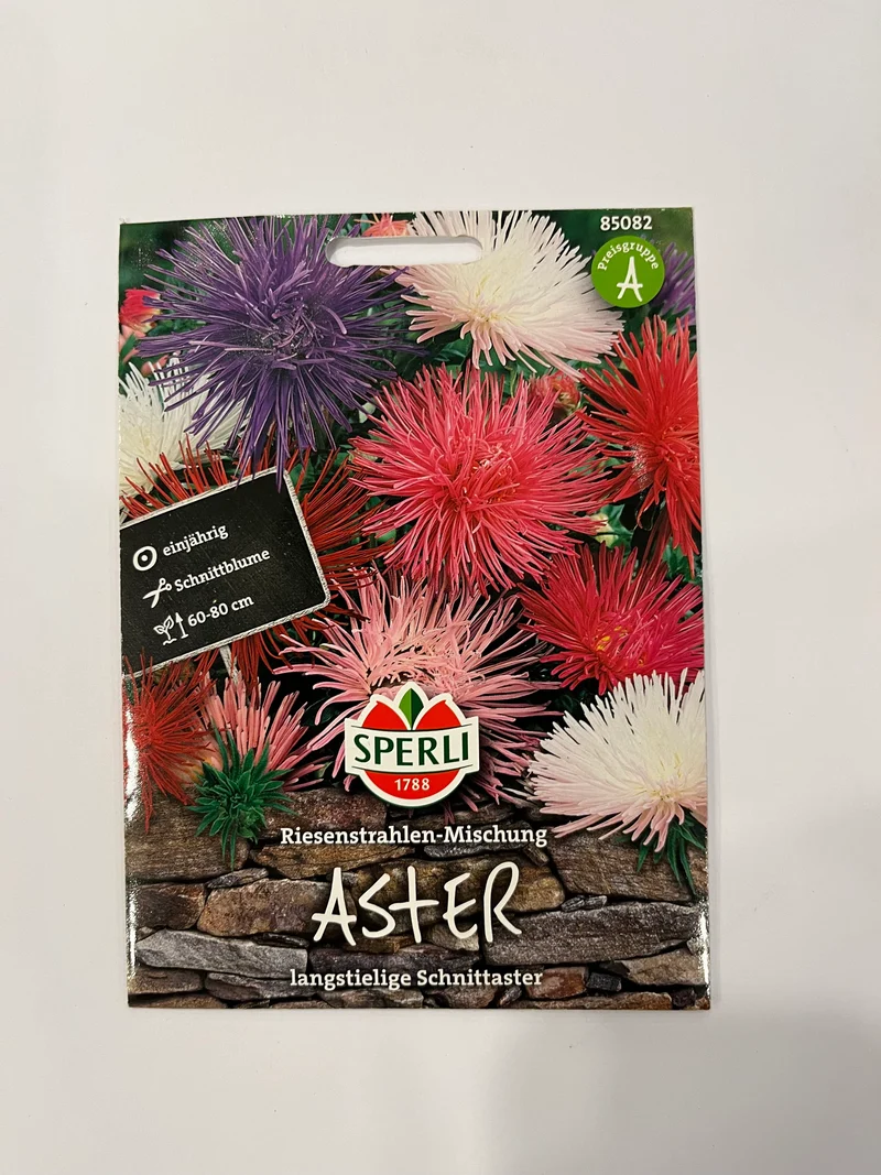 Aster Riesenstrahlen-Mischung