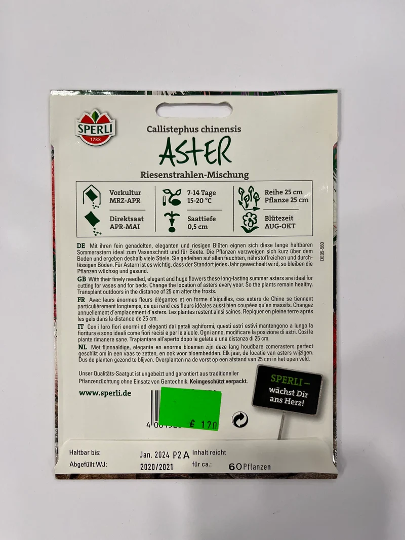 Aster Riesenstrahlen-Mischung