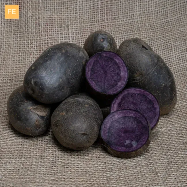 Seed Potatoes: Vitanoire