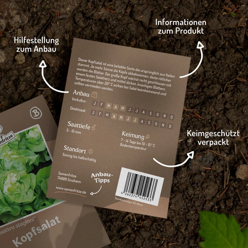 Kopfsalat Quattro Stagioni Samen