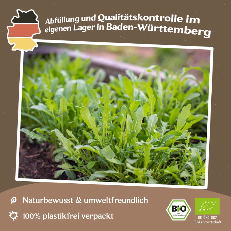 Bio-Rucola Coltivata Samen