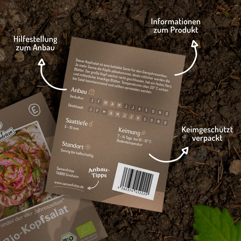 Bio-Kopfsalat Wunder der vier Jahreszeiten Samen